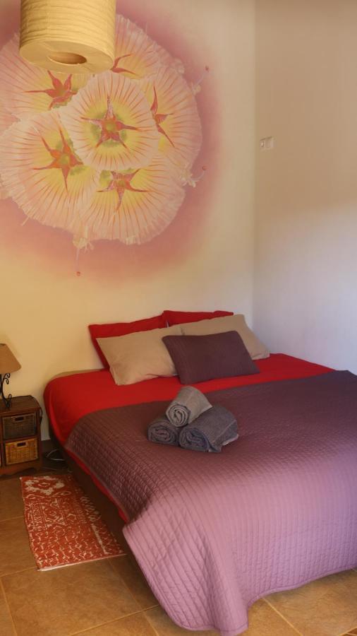 Vida Pura Guesthouse Odeceixe Zewnętrze zdjęcie